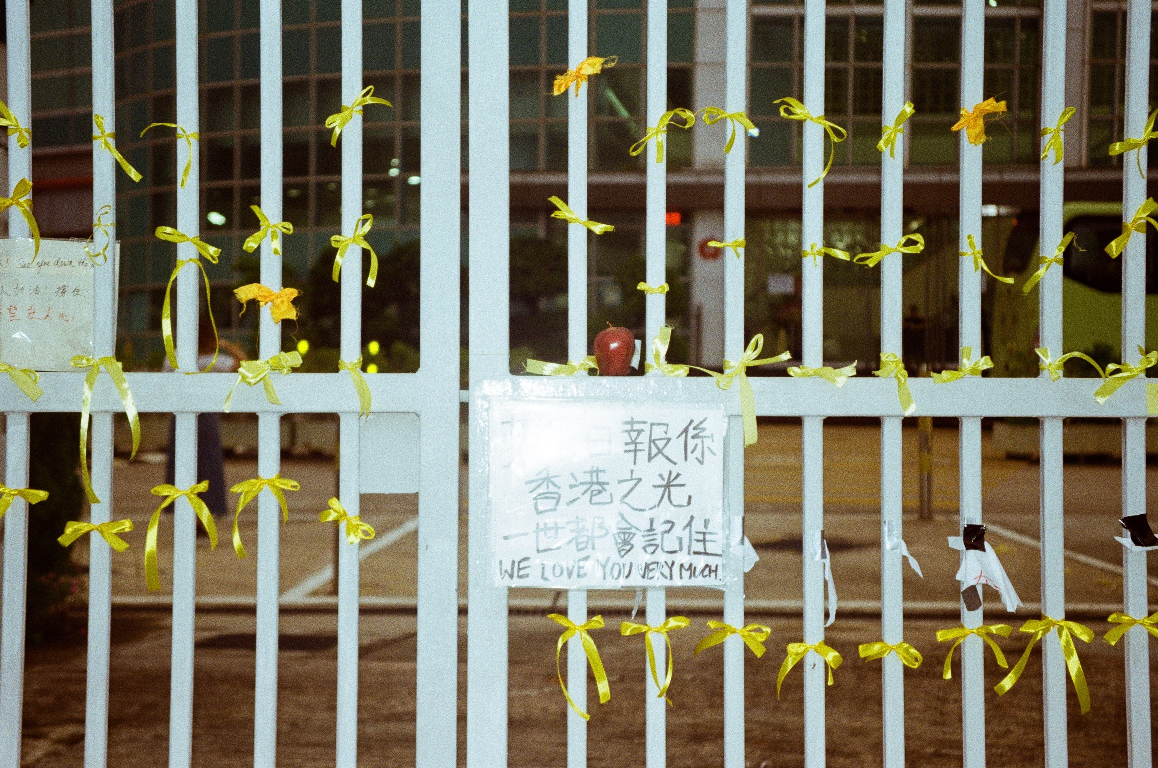 Fuji 200 #9